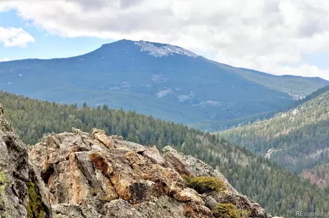 263 Barrows Ranch Rd, Evergreen, CO 80439 photo 35