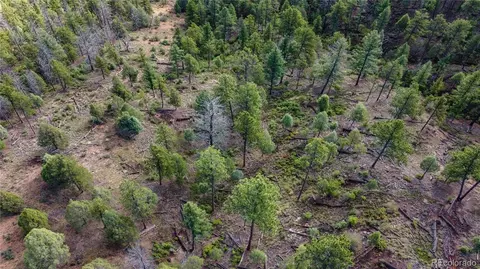 tbd Cathedral Trl, Conifer, CO 80433 photo 21