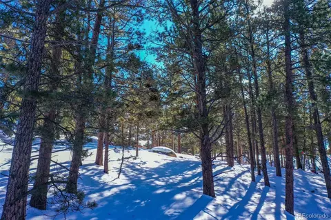 148 Rhyolite Ln, Florissant, CO 80816