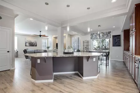 20103 E 55th Pl, Denver, CO 80249 photo 13
