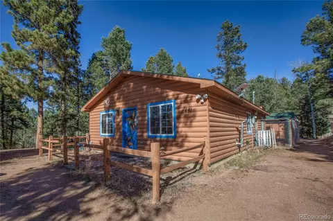 441 Paint Pony Ln, Florissant, CO 80816