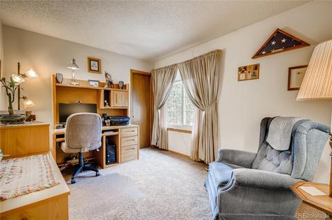 3889 E 99th Cir, Thornton, CO 80229 photo 20
