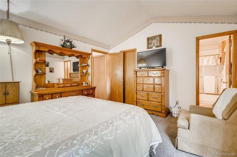 3889 E 99th Cir, Thornton, CO 80229 photo 15
