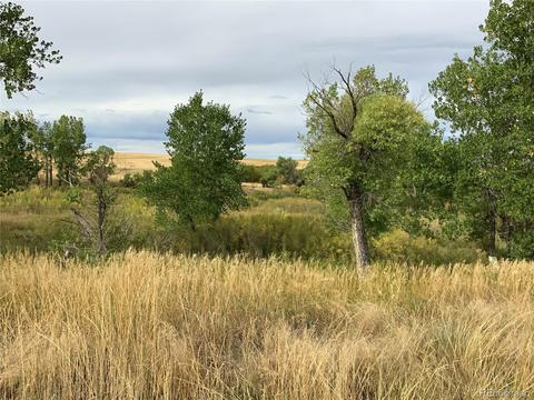 12515 Creek Side Cir, Bennett, CO 80102 photo 10
