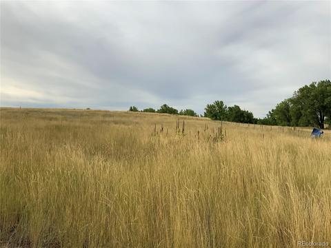 12515 Creek Side Cir, Bennett, CO 80102 photo 15