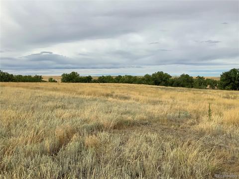 12515 Creek Side Cir, Bennett, CO 80102 photo 18