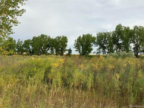 12515 Creek Side Cir, Bennett, CO 80102 photo 12