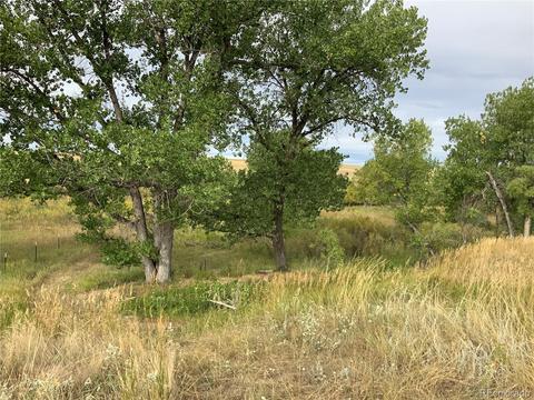 12515 Creek Side Cir, Bennett, CO 80102 photo 8