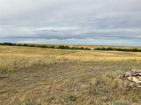 12515 Creek Side Cir, Bennett, CO 80102 photo 7