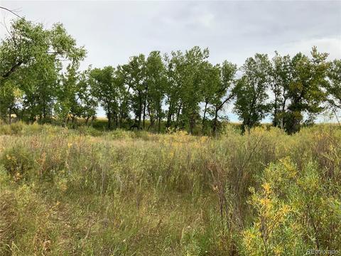 12515 Creek Side Cir, Bennett, CO 80102 photo 13