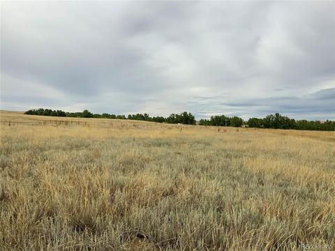 12515 Creek Side Cir, Bennett, CO 80102 photo 17