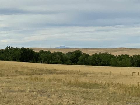 12515 Creek Side Cir, Bennett, CO 80102 photo 20
