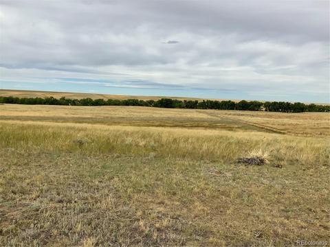12515 Creek Side Cir, Bennett, CO 80102 photo 19