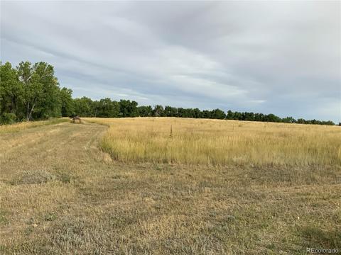 12515 Creek Side Cir, Bennett, CO 80102 photo 11