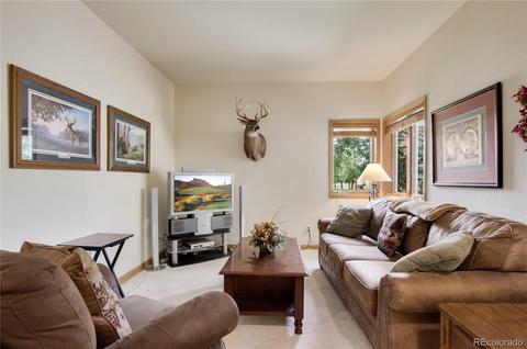 100 Range View Cir, Silverthorne, CO 80498 photo 22