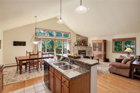 100 Range View Cir, Silverthorne, CO 80498 photo 13
