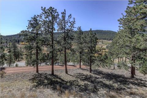 147 Conestoga Rd, Bailey, CO 80421 photo 4