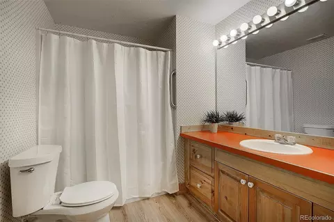 Bath - 14372 Jubilee Trl, Pine, CO 80470 photo 5 of 5
