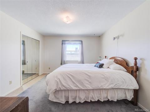504 E Blarney Stone Rd, Howard, CO 81233 photo 18