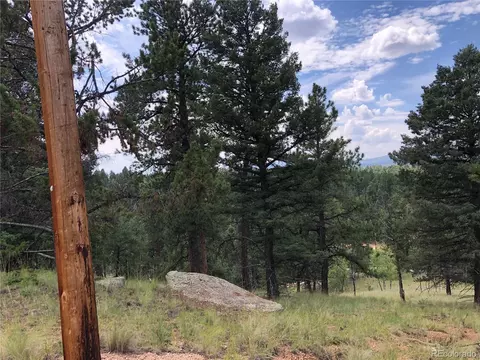 135 Junction Cir, Florissant, CO 80816