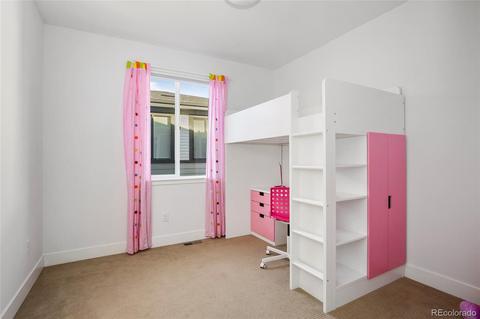8749 E 54th Ave, Denver, CO 80238 photo 28