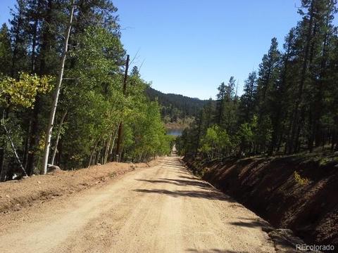 54 Lakeview Rd, Bailey, CO 80421 photo 8