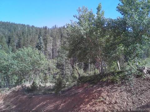 54 Lakeview Rd, Bailey, CO 80421 photo 5