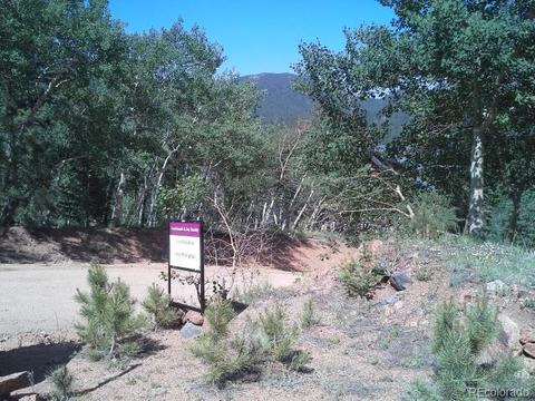 54 Lakeview Rd, Bailey, CO 80421 photo 1