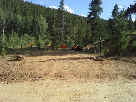 54 Lakeview Rd, Bailey, CO 80421 photo 3