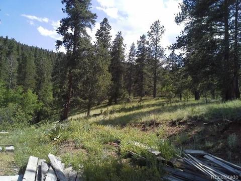 54 Lakeview Rd, Bailey, CO 80421 photo 4