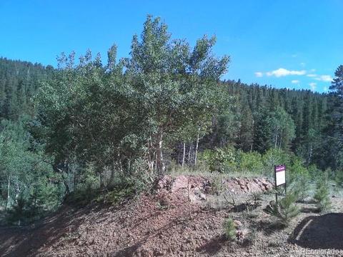 54 Lakeview Rd, Bailey, CO 80421 photo 7