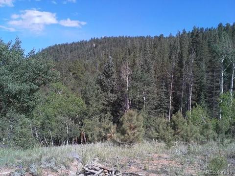 54 Lakeview Rd, Bailey, CO 80421 photo 2