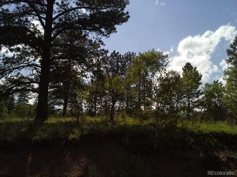 54 Lakeview Rd, Bailey, CO 80421 photo 6