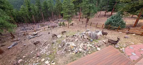 16 Auk Ln, Bailey, CO 80421 photo 37