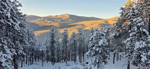 16 Auk Ln, Bailey, CO 80421 photo 38