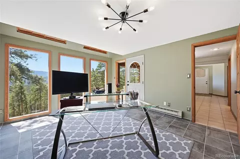 16 Auk Ln, Bailey, CO 80421 photo 20