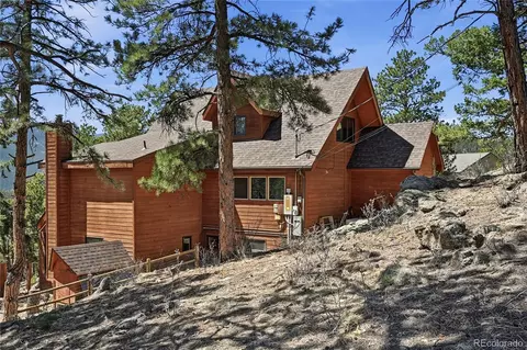 16 Auk Ln, Bailey, CO 80421 photo 27
