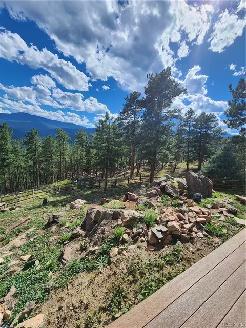 16 Auk Ln, Bailey, CO 80421 photo 35