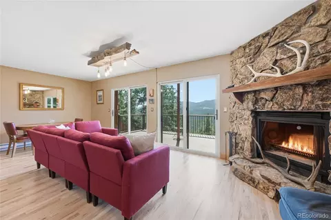 16 Auk Ln, Bailey, CO 80421 photo 7