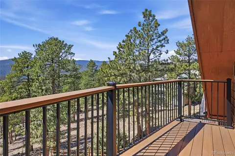 16 Auk Ln, Bailey, CO 80421 photo 28