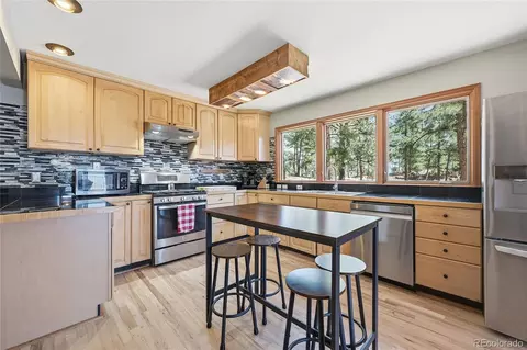 16 Auk Ln, Bailey, CO 80421 photo 4