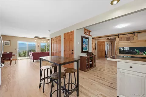 16 Auk Ln, Bailey, CO 80421 photo 5