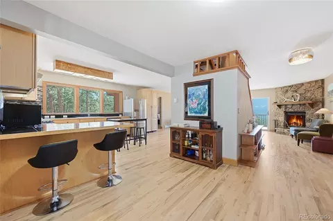 16 Auk Ln, Bailey, CO 80421 photo 3