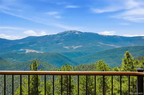 16 Auk Ln, Bailey, CO 80421 photo 10