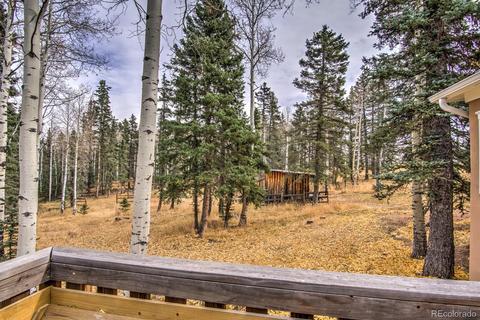 789 Ridge Dr, Divide, CO 80814 photo 13