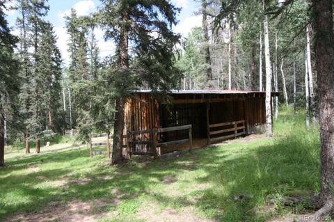 789 Ridge Dr, Divide, CO 80814 photo 14