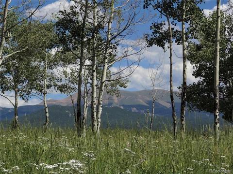 789 Ridge Dr, Divide, CO 80814 photo 4
