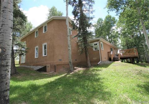 789 Ridge Dr, Divide, CO 80814 photo 29