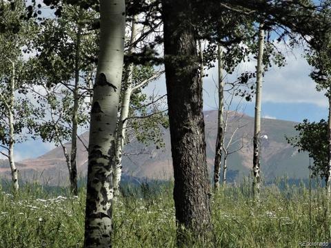789 Ridge Dr, Divide, CO 80814 photo 32