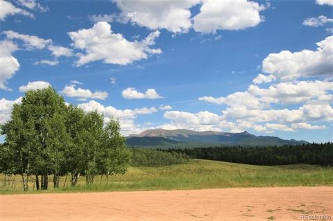 789 Ridge Dr, Divide, CO 80814 photo 5